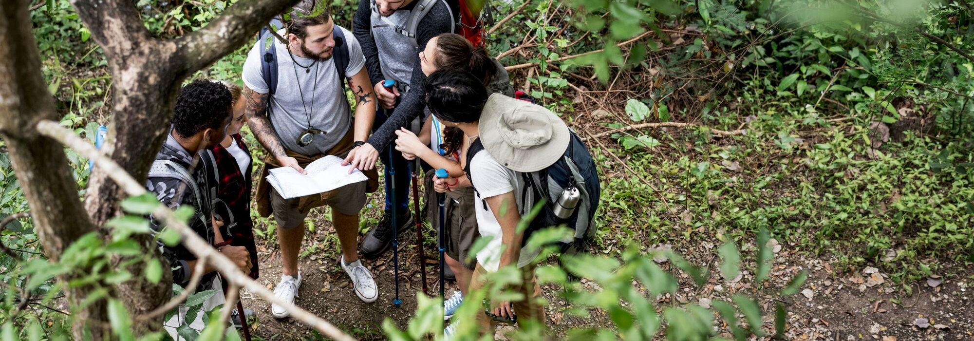 5 Personen stehen in einem Wald und orientieren sich anhand einer Karte und Kompass