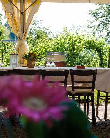 eingedeckter Tisch mit Blick auf die Weinberge