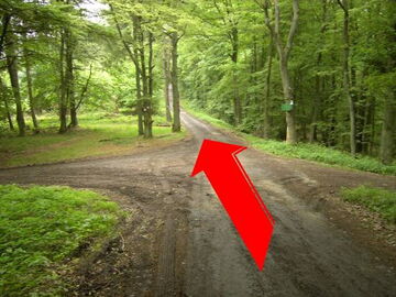Waldweg Kreuzung mit drei Abzweigungen, Ein roter Pfeil zeigt den Weg